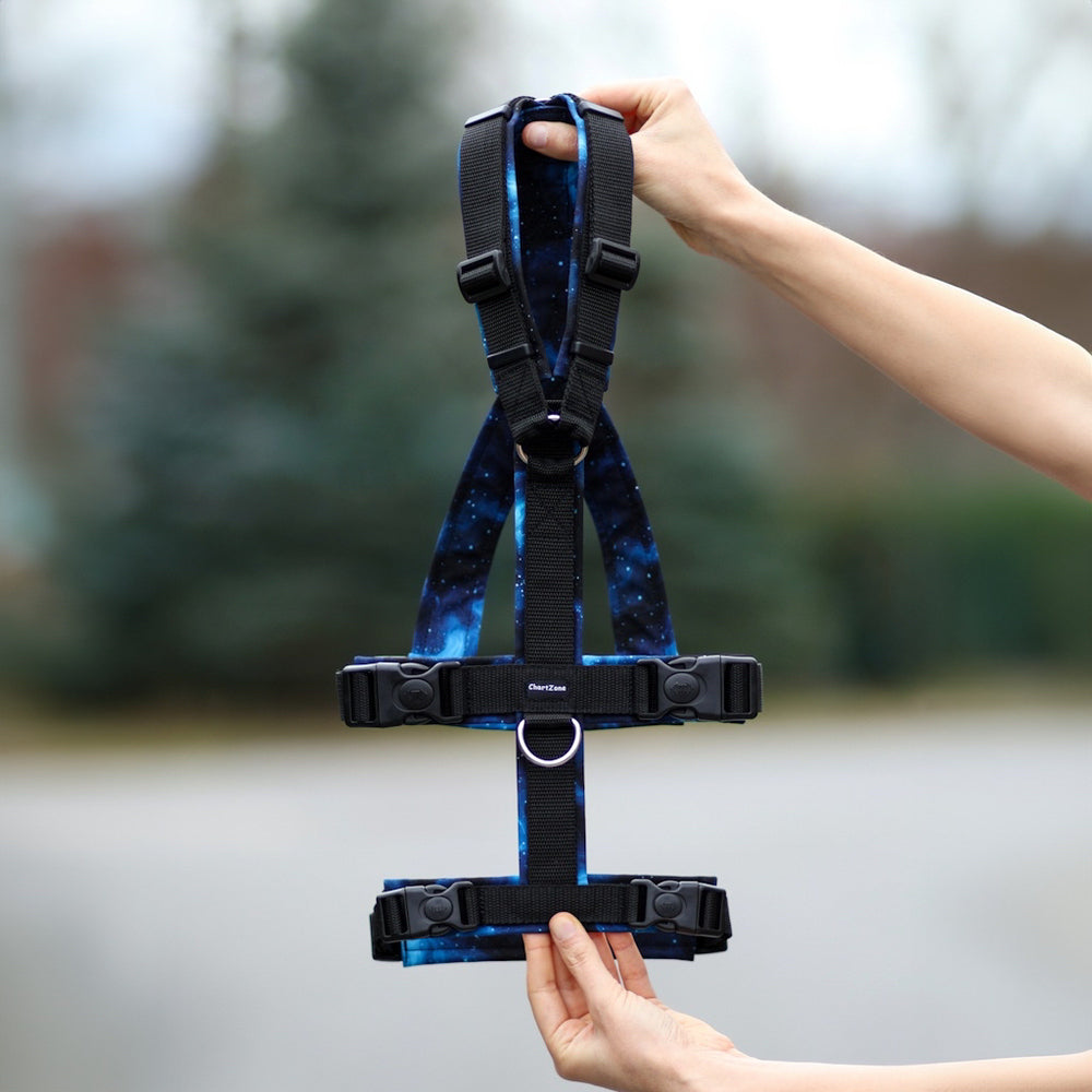 Escape-Proof Greyhound Harness "Galaxy"