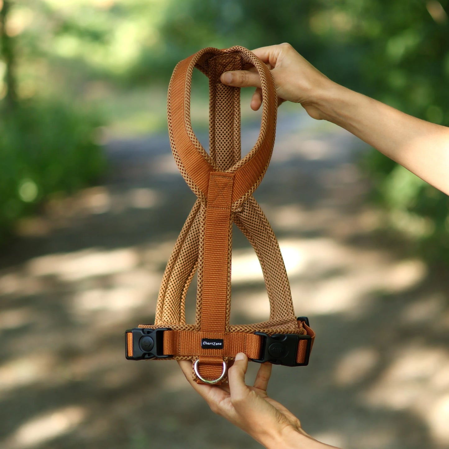 Szelki dla charta i psów o głębokiej klatce piersiowej w kształcie litery Y, anatomiczne, Comfort Mesh, podszycie z siatki dystansowej