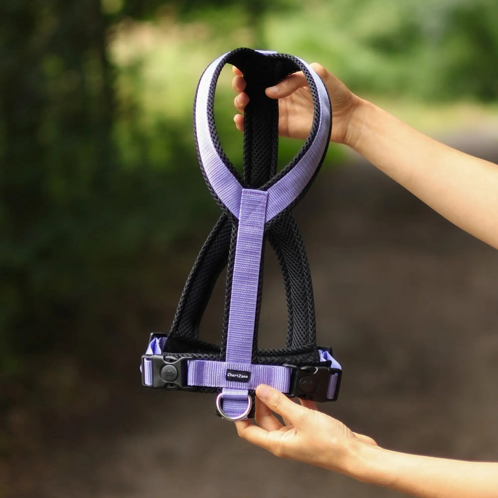 Szelki dla Charta - Różne kolory