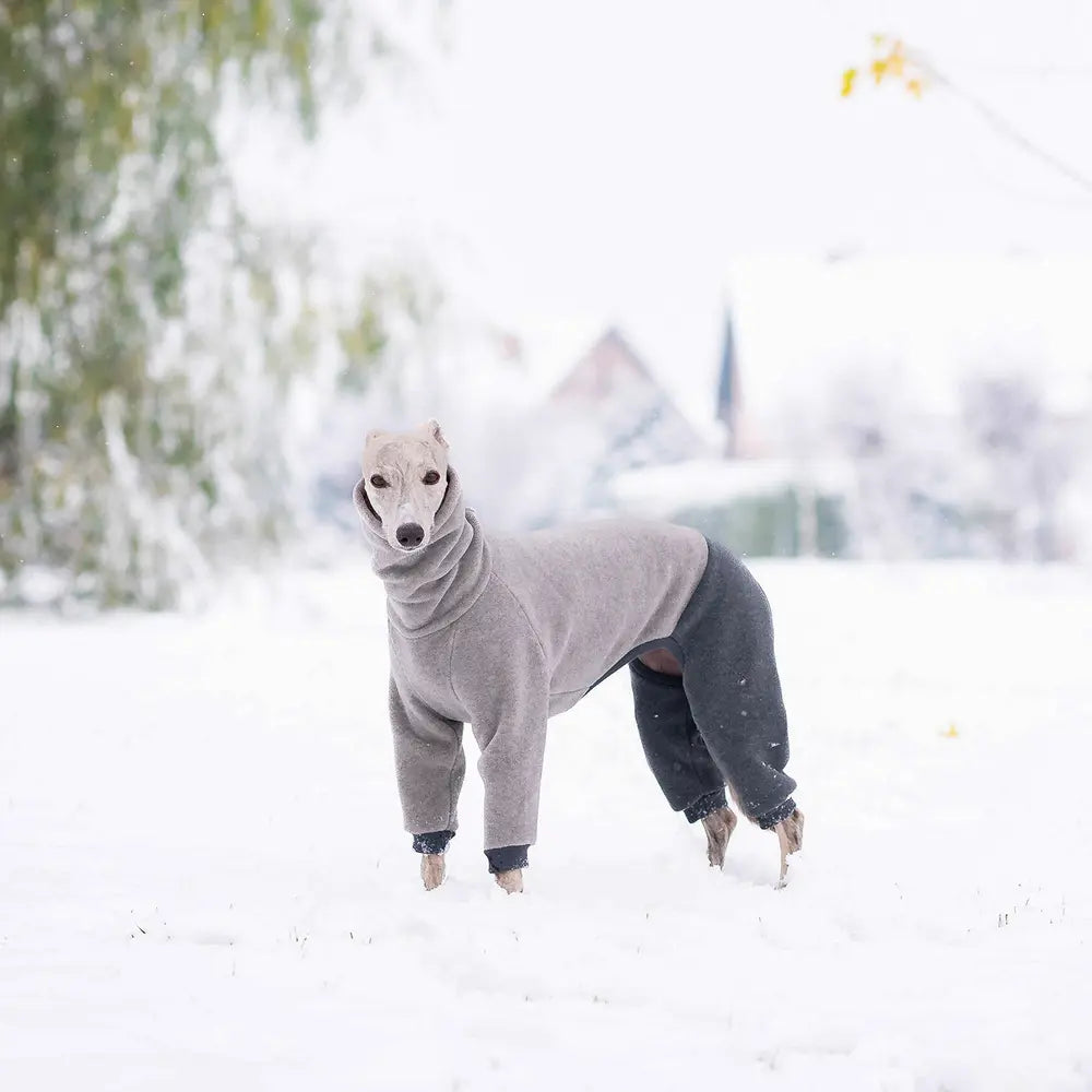 Kombinezon dla whippeta / Whippet Jumpsuit