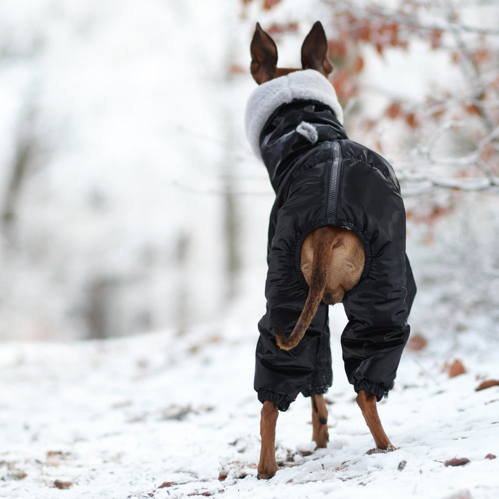 Kombinezon śniegowy dla charcika włoskiego z futerkiem