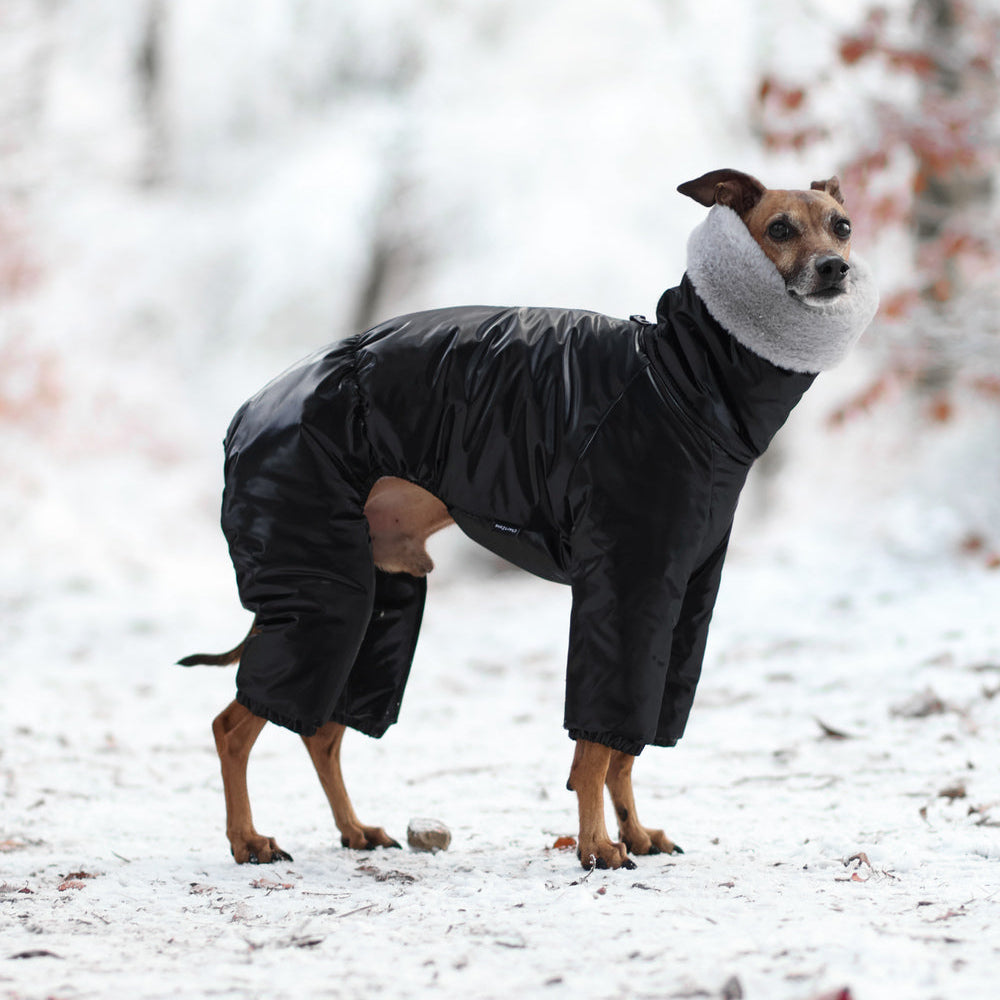 Kombinezon śniegowy dla charcika włoskiego z futerkiem