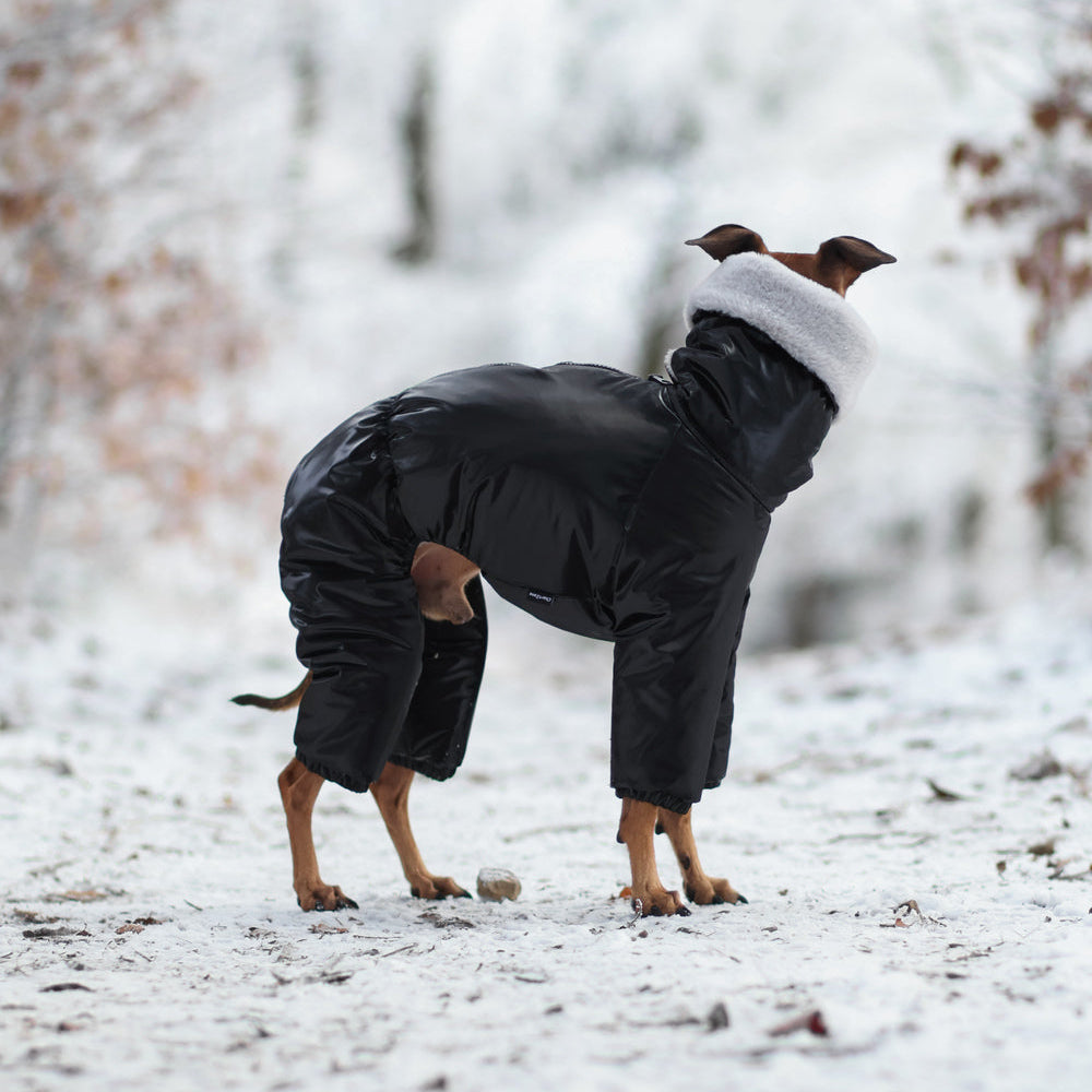 Kombinezon śniegowy dla charcika włoskiego z futerkiem