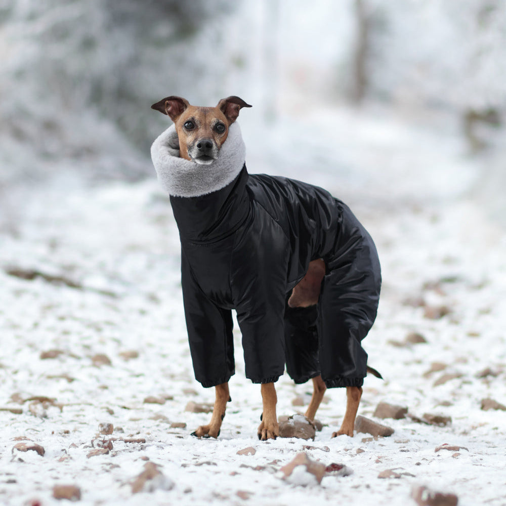 Kombinezon śniegowy dla charcika włoskiego z futerkiem