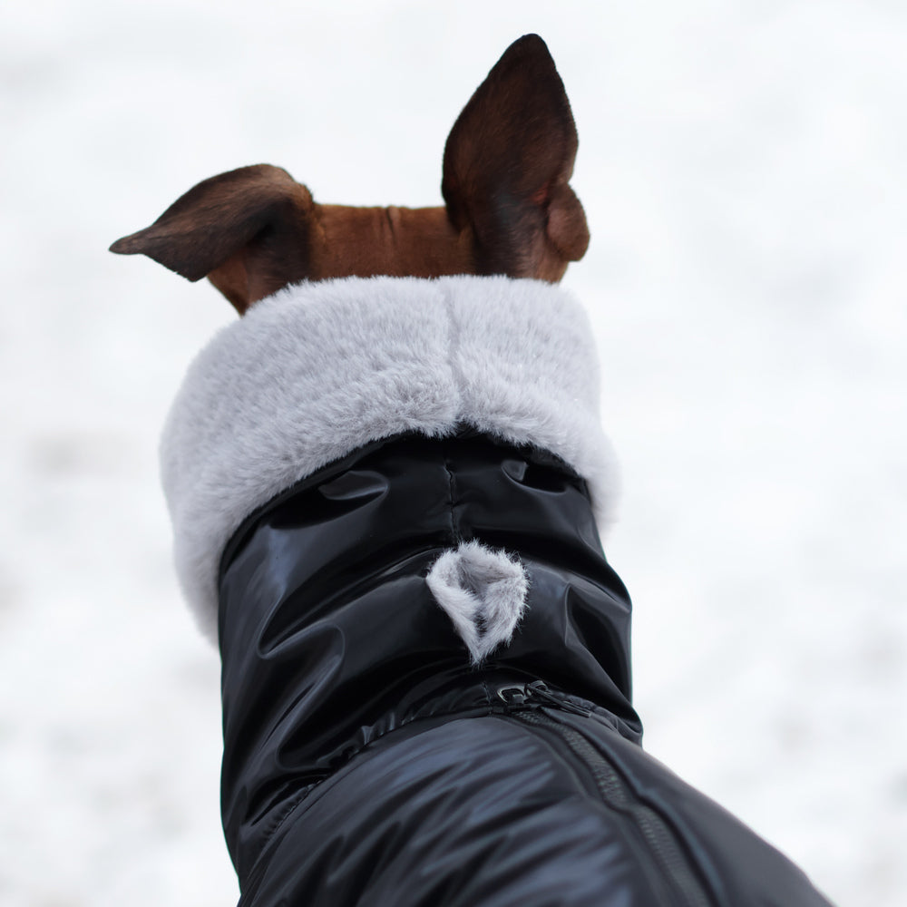 Kombinezon śniegowy dla charcika włoskiego z futerkiem