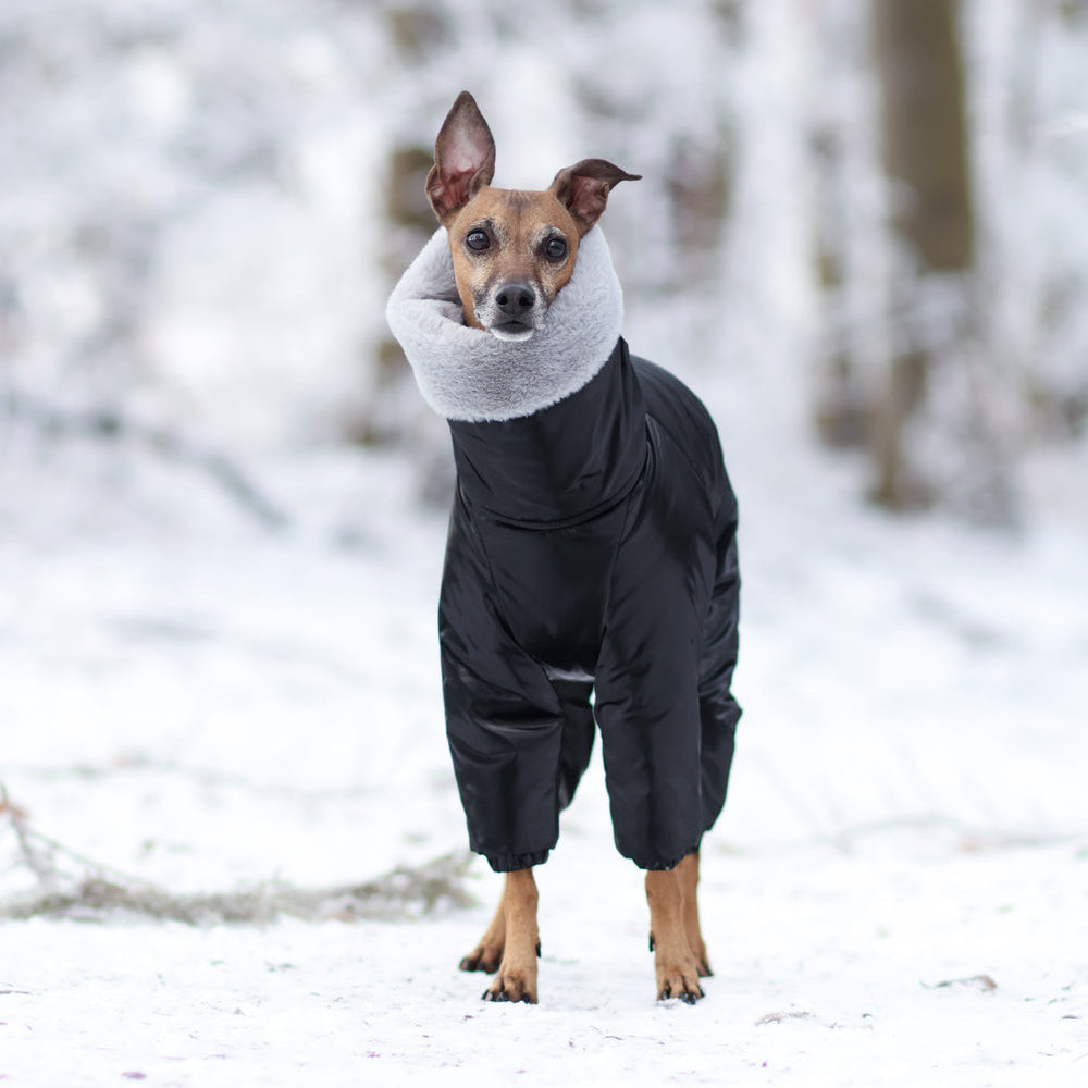 Kombinezon śniegowy dla charcika włoskiego z futerkiem