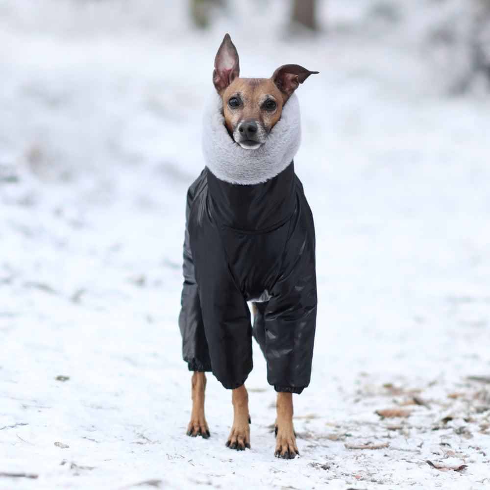 Kombinezon śniegowy dla charcika włoskiego z futerkiem