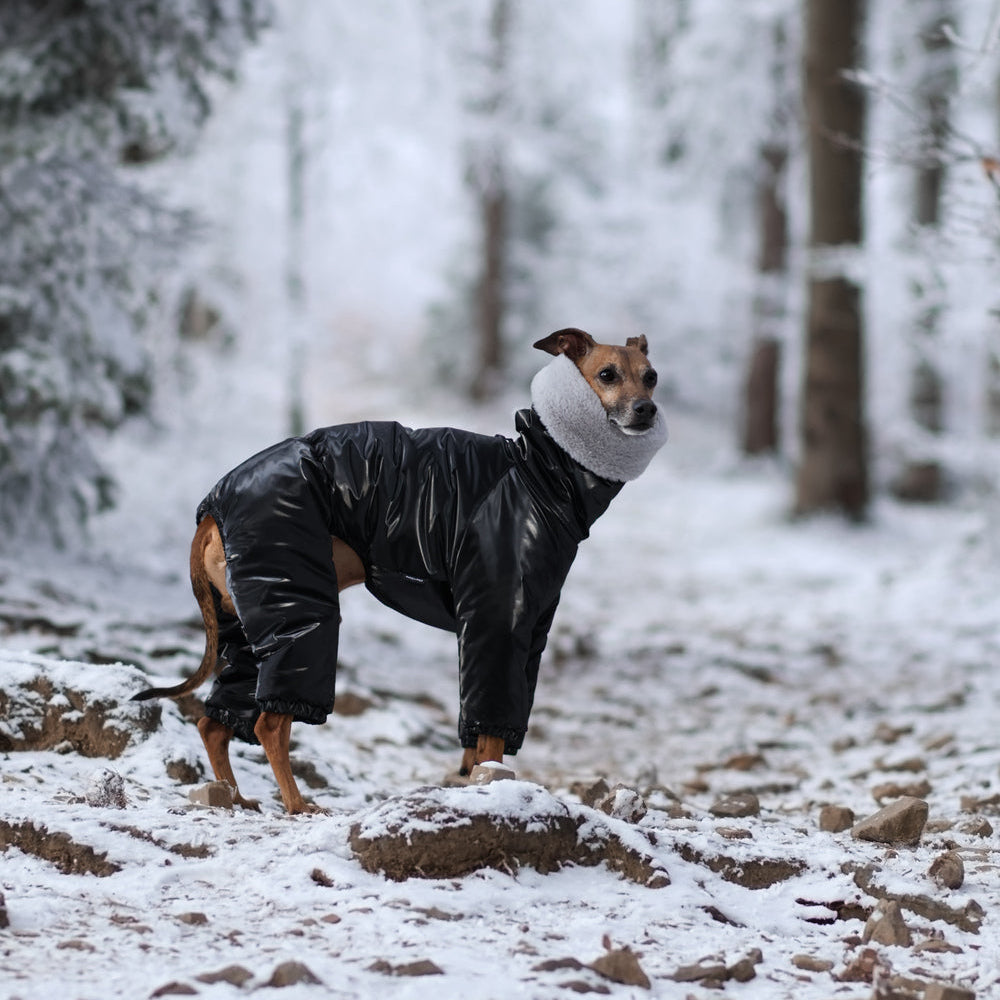 Kombinezon śniegowy dla charcika włoskiego z futerkiem