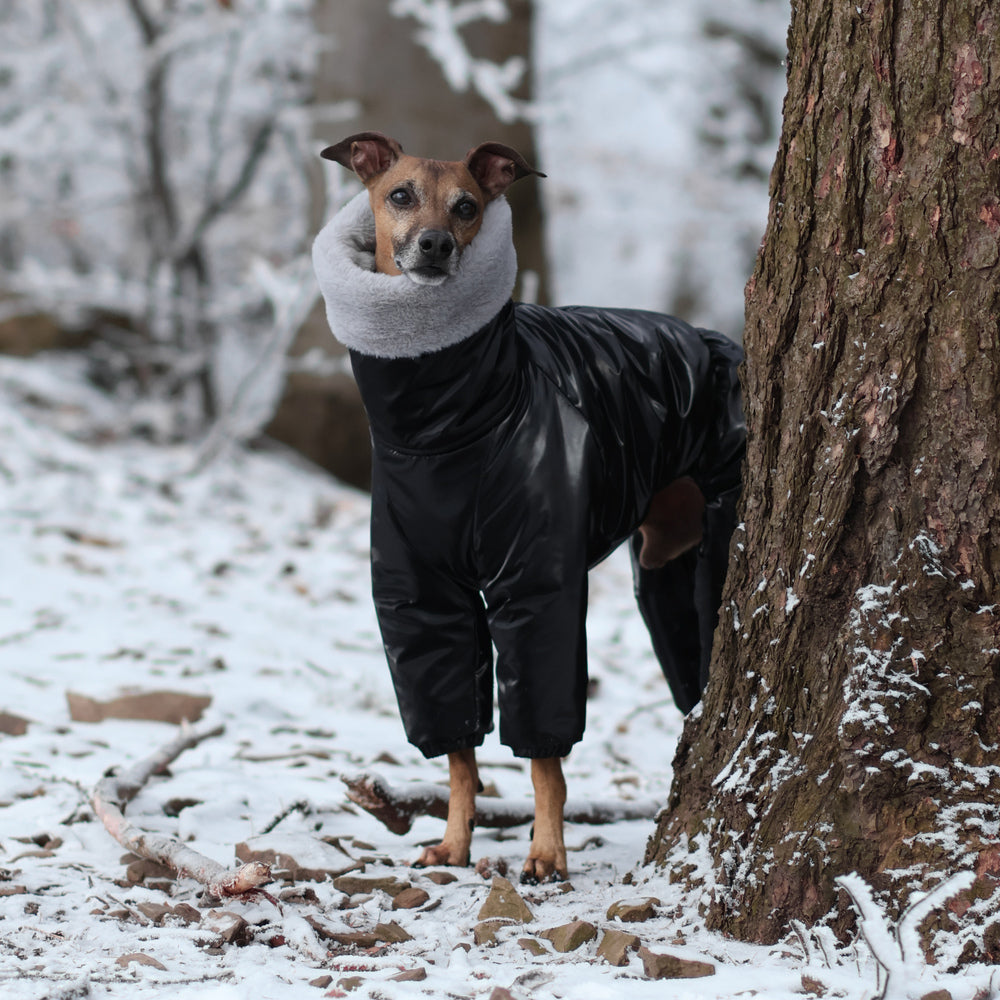 Kombinezon śniegowy dla charcika włoskiego z futerkiem