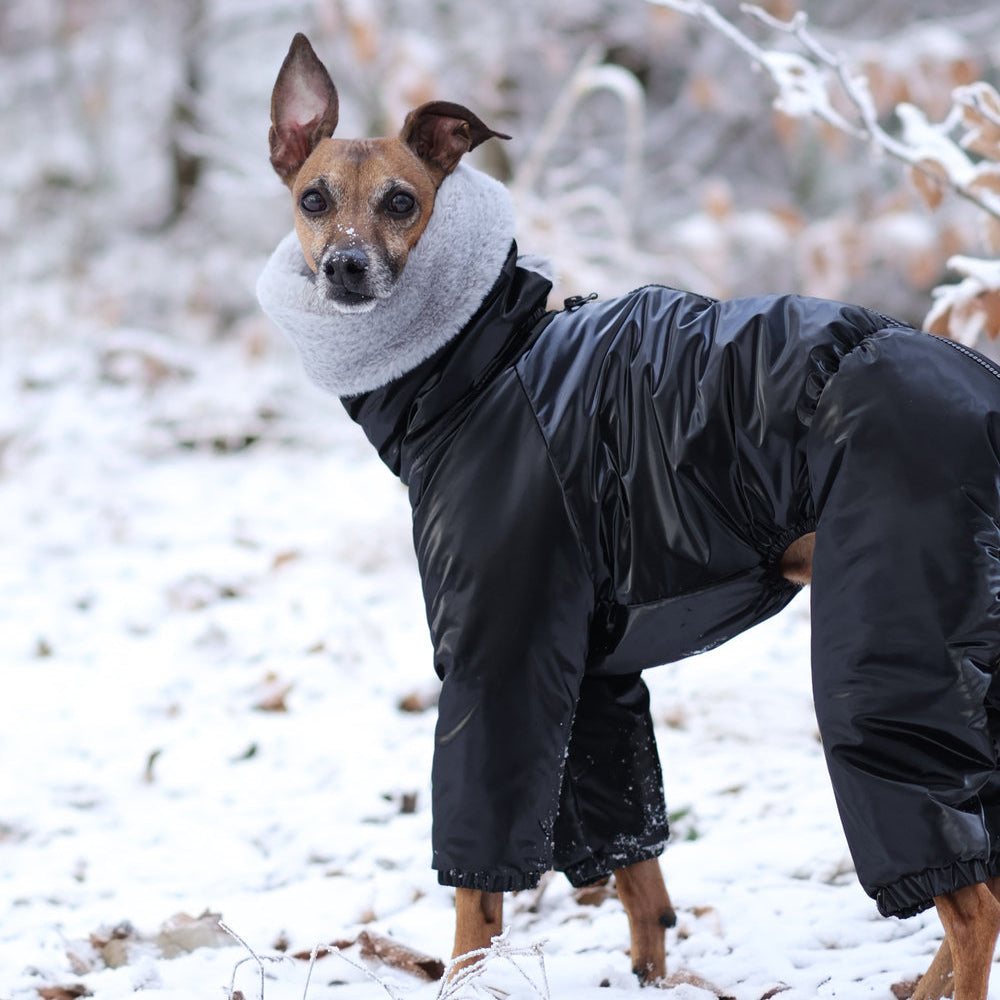 Kombinezon śniegowy dla charcika włoskiego z futerkiem