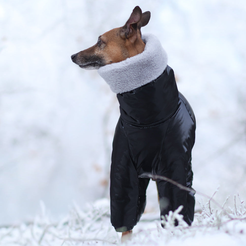 Kombinezon śniegowy dla charcika włoskiego z futerkiem