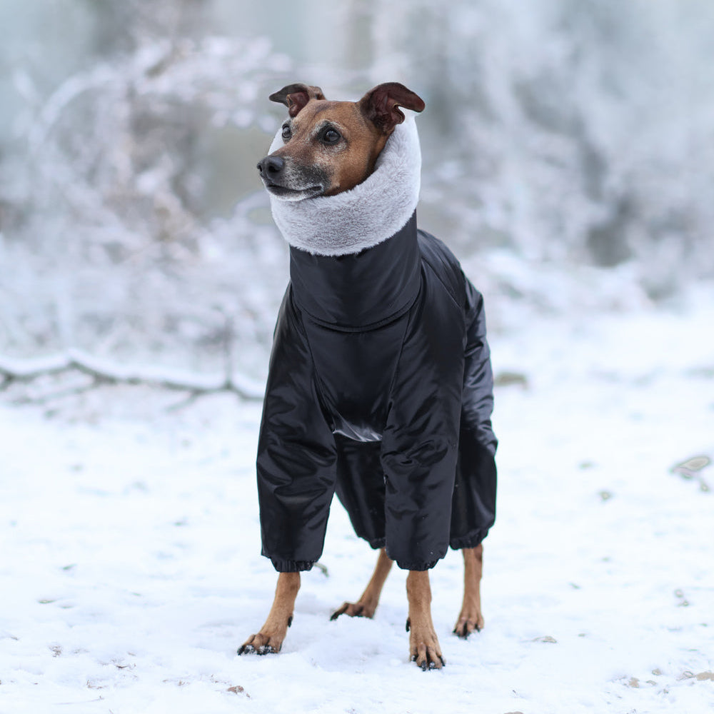 Kombinezon śniegowy dla charcika włoskiego z futerkiem
