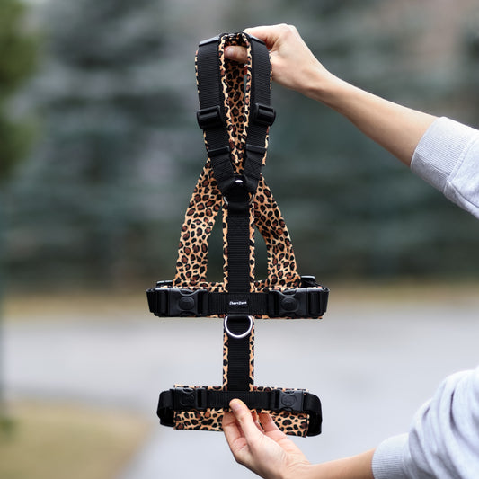 Escape-Proof Greyhound Harness "Wild Safari"