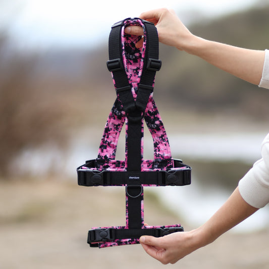 Antyucieczkowe Szelki dla Charta "Pink Camo"