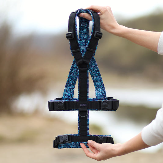 Antyucieczkowe Szelki dla Charta "Mayan Maze"