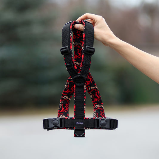 Szelki dla Charta "Lava"