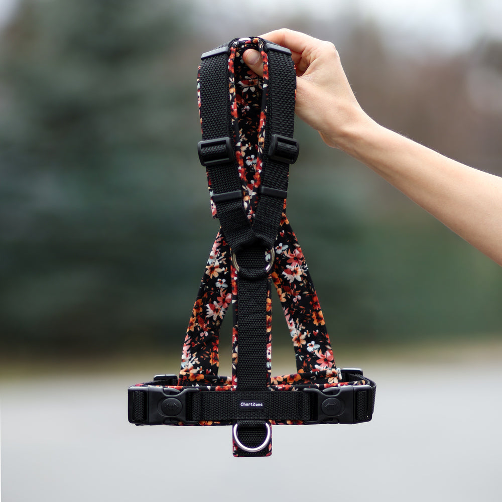 Greyhound Harness "Amber Flowers" 