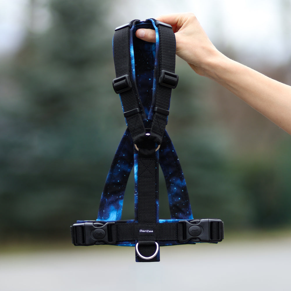 Greyhound Harness "Galaxy" 