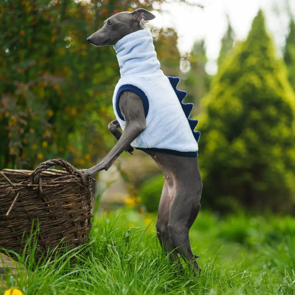 Italian Greyhound Sleevless - DINO