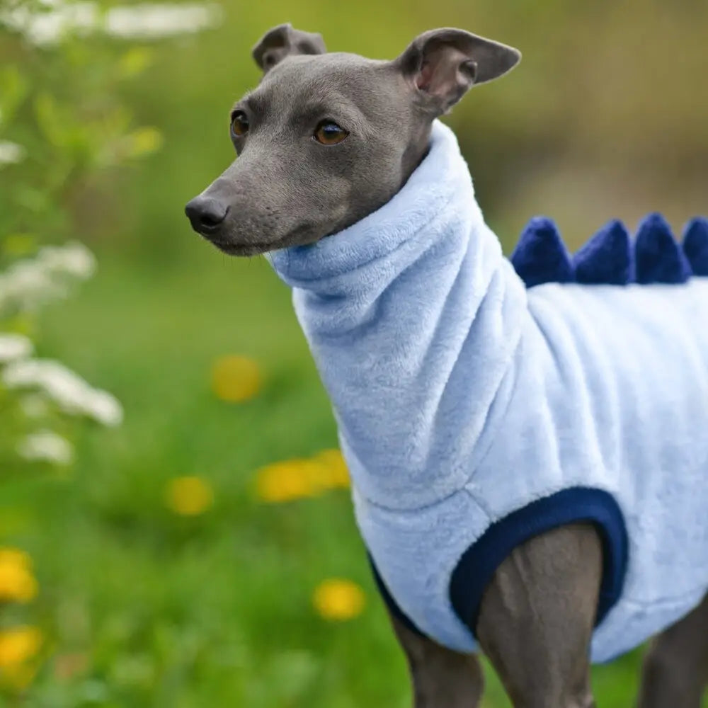 Italian Greyhound Sleevless - DINO