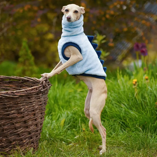 Italian Greyhound Sleevless - DINO L