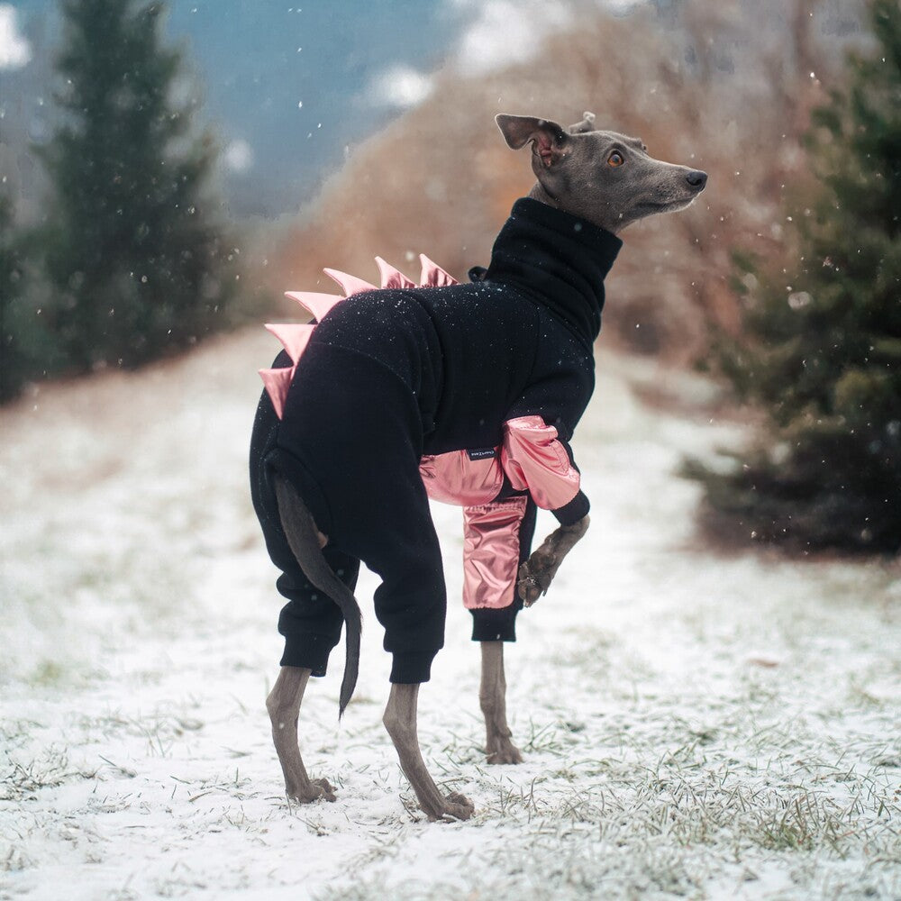 Kombinezon dla charcika włoskiego z miękkiej dresówki drapanej z wodoodpornymi wstawkami na brzuszku i przednich łapkach, idealny dla samczyków; z otworem na smycz w kołnierzu.