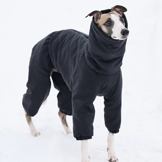 "Kombinezon wodoodporny dla whippeta, wykonany z membranowej tkaniny chroniącej przed deszczem, wiatrem i śniegiem. Cienka, przejściowa wersja z zamkiem błyskawicznym, wykończona miękkim polarem, bezszwowa dla komfortu, z odblaskowymi elementami na nogawkach, wysokim golfem ze stoperem i otworem na smycz. Wodoodporne ściągacze zapobiegają przedostawaniu się śniegu i wilgoci do środka.