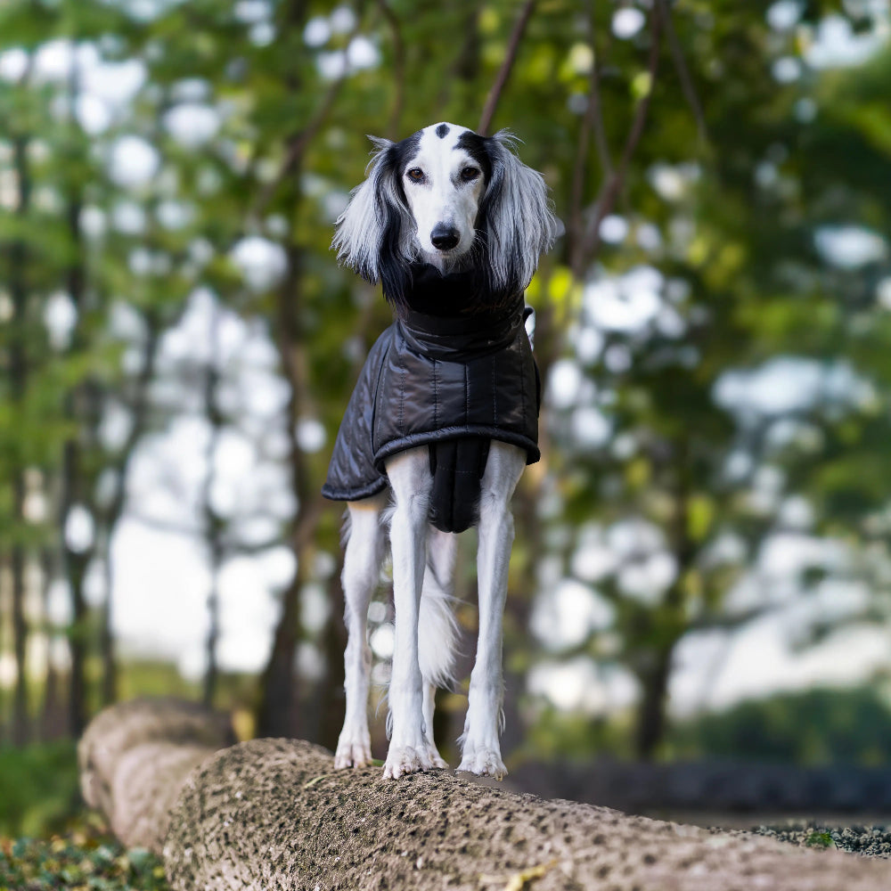 Zimowy płaszczyk dla psa wykonany z wodoodpornego i wiatroszczelnego ortalionu, pikowany i ocieplony grubą warstwą ociepliny. Wnętrze wykończone miękką tkaniną minky.