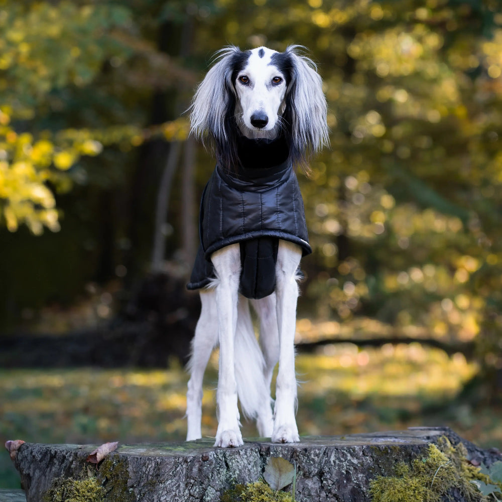 Zimowy płaszczyk dla psa wykonany z wodoodpornego i wiatroszczelnego ortalionu, pikowany i ocieplony grubą warstwą ociepliny. Wnętrze wykończone miękką tkaniną minky.