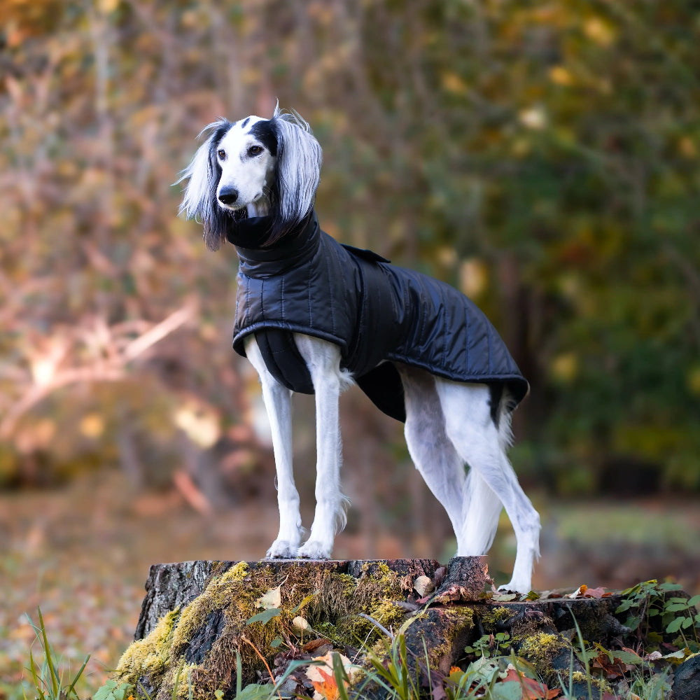 Zimowy płaszczyk dla psa wykonany z wodoodpornego i wiatroszczelnego ortalionu, pikowany i ocieplony grubą warstwą ociepliny. Wnętrze wykończone miękką tkaniną minky.