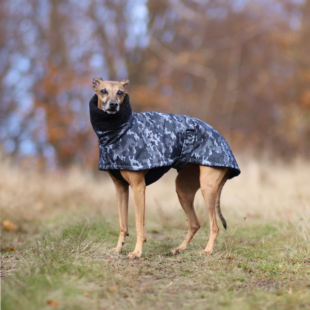 Przeciwdeszczowy płaszczyk dla charta, lekki i wodoodporny, dopasowany do smukłej sylwetki psa, zapewniający ochronę przed deszczem i wiatrem.