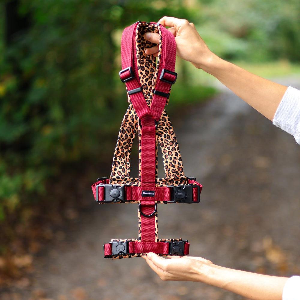 Szelki w kształcie litery Y dla charta, anatomiczne, zapewniające pełen zakres ruchu łopatek. Wersja antyucieczkowa z regulowanym paskiem na brzuchu, idealne dla psów z głęboką klatką piersiową, stabilne i wygodne podczas ruchu.