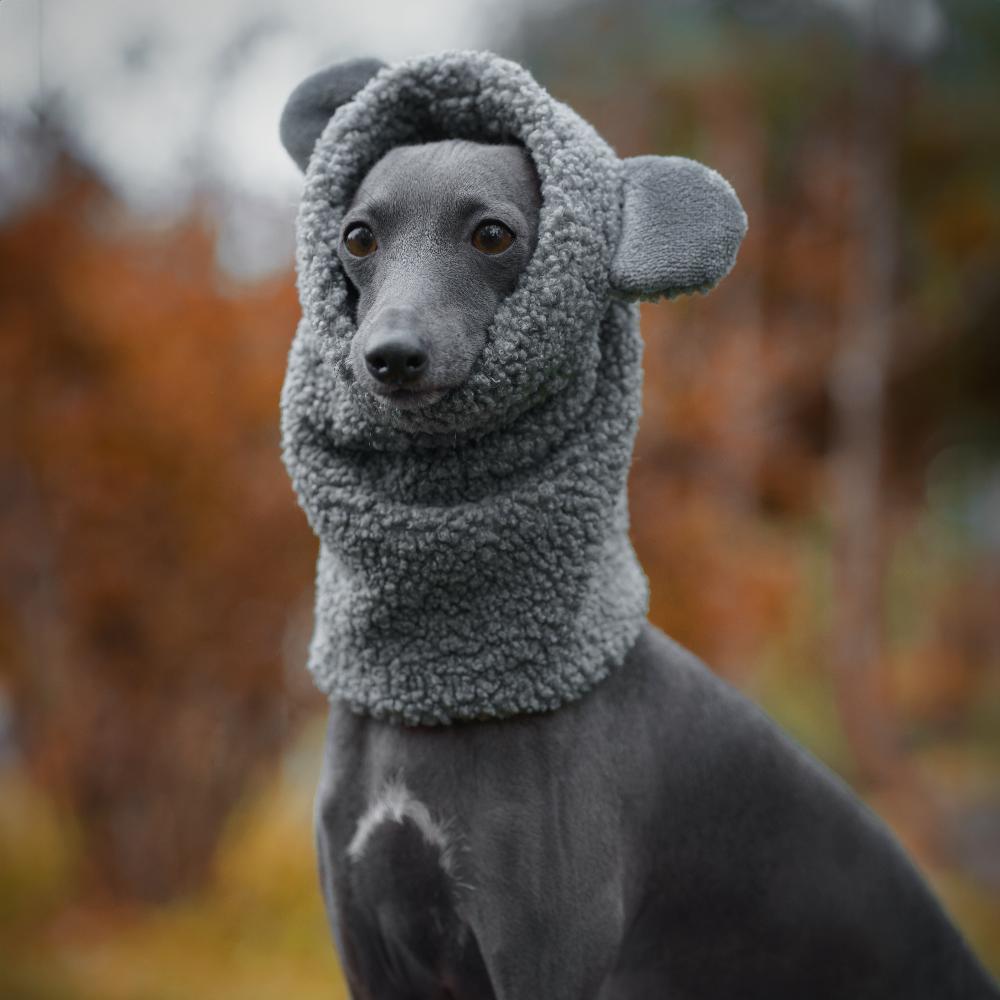 Snood dla charcika włoskiego z miękkiego baranka Boucle, zapewniający izolację termiczną i hydrofobowość, z otworem na smycz. / Snood for Italian Greyhounds made from soft Boucle fleece, offering thermal insulation and water resistance, with a leash opening.