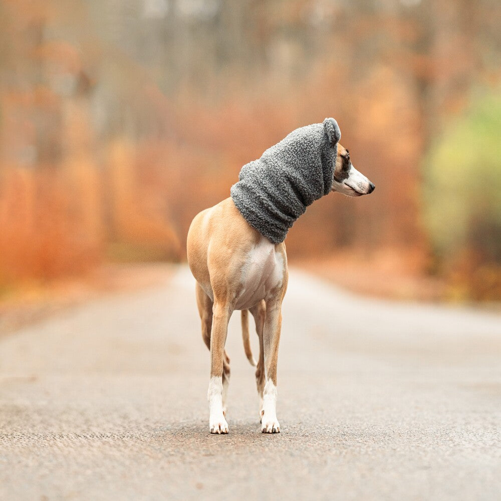 Snoody dla whippetów wykonane z miękkiego baranka Boucle to idealny wybór na zimowe spacery.