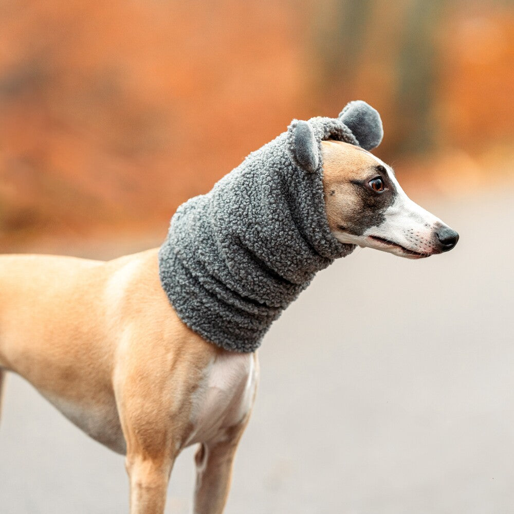 Snoody dla whippetów wykonane z miękkiego baranka Boucle to idealny wybór na zimowe spacery.