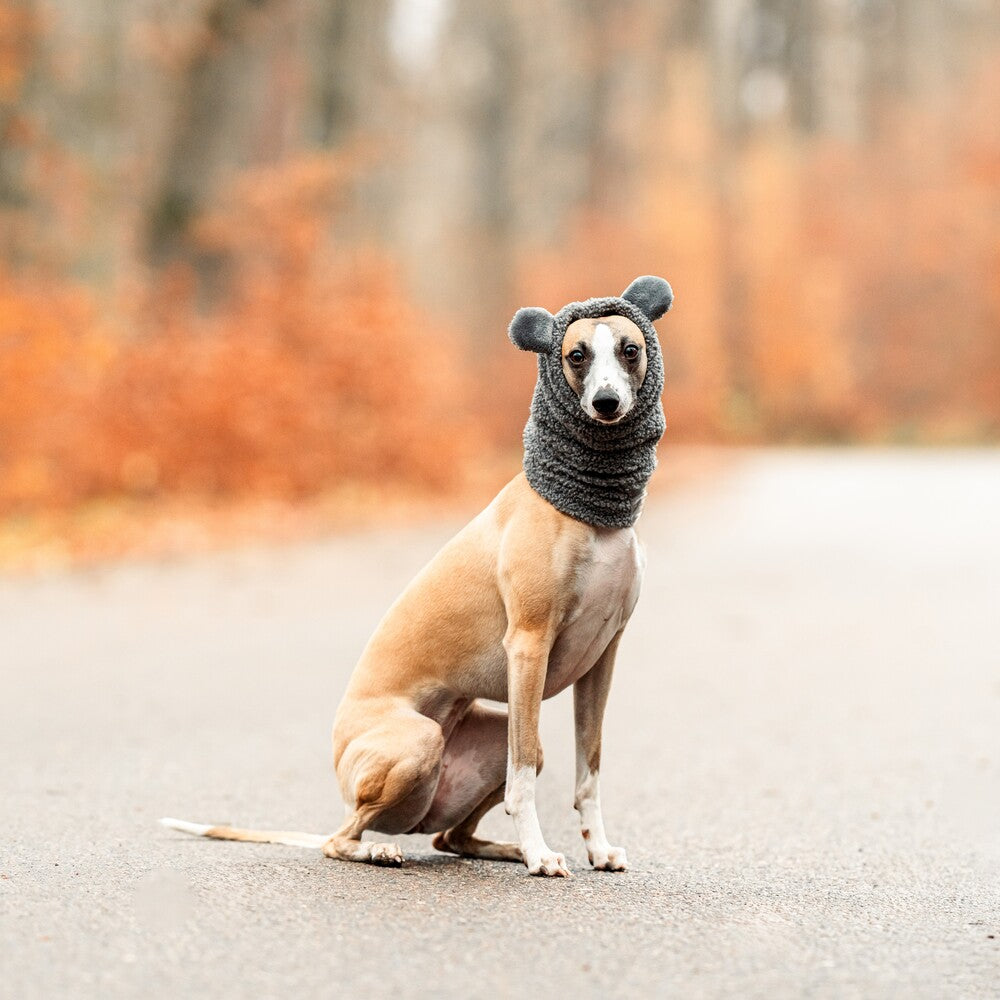 Snoody dla whippetów wykonane z miękkiego baranka Boucle to idealny wybór na zimowe spacery.