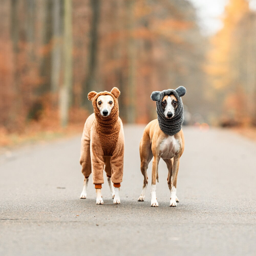 Snoody dla whippetów wykonane z miękkiego baranka Boucle to idealny wybór na zimowe spacery.