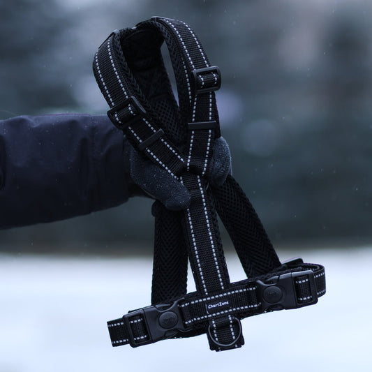 Odblaskowe szelki dla charta