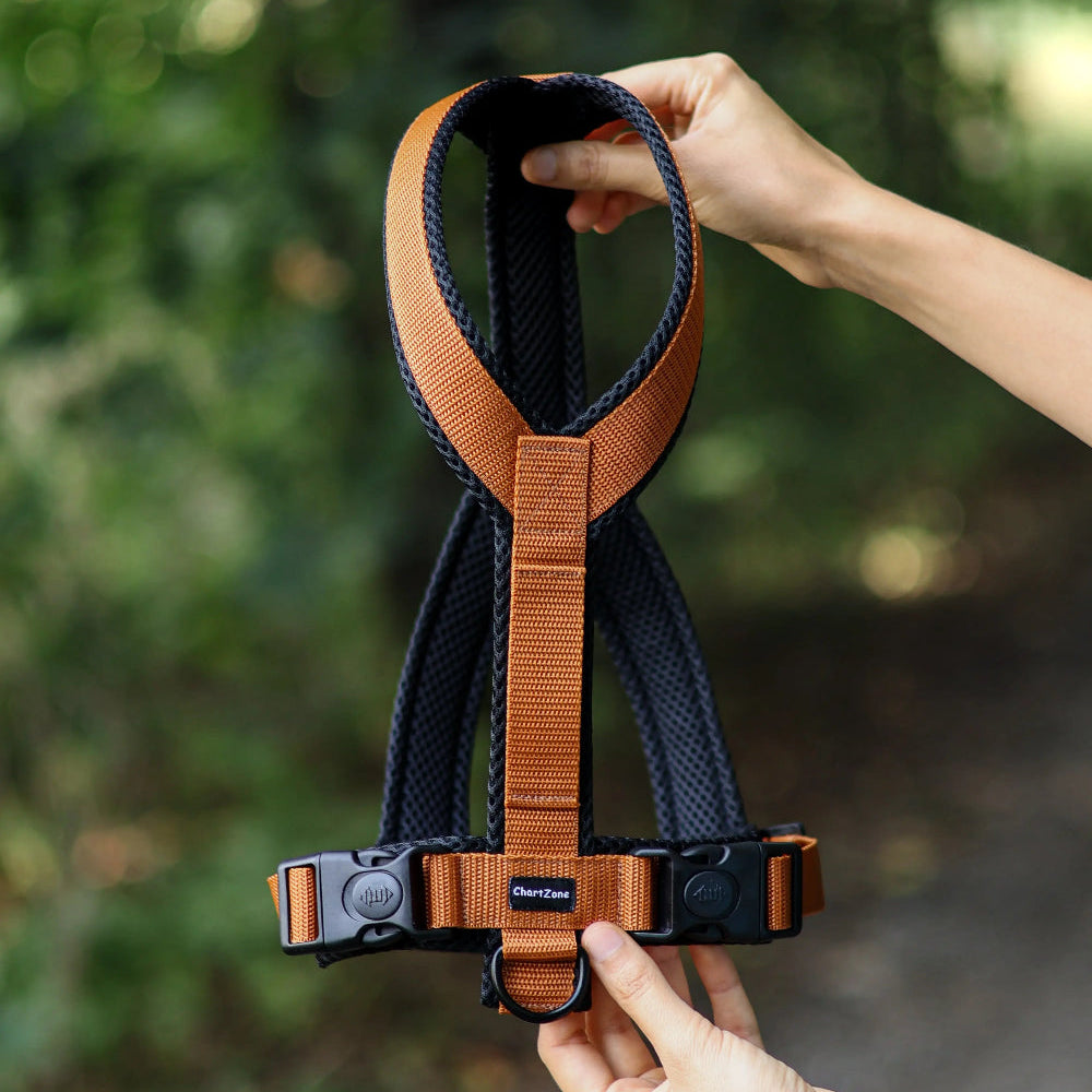 Szelki dla charta lub charcika włoskiego