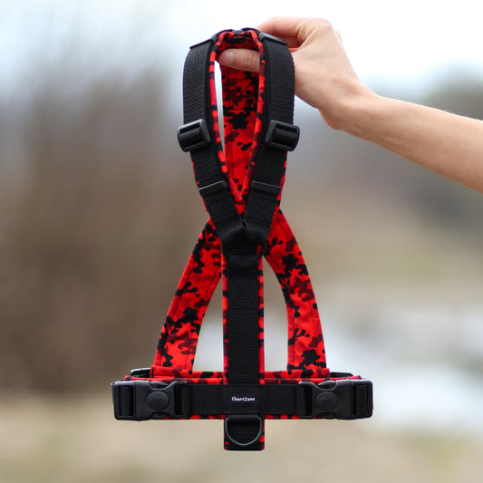 Szelki dla charta typu Y, anatomiczne i dobrze dopasowane do smukłej sylwetki psa, zapewniające komfort, stabilność oraz pełną swobodę ruchu podczas spacerów.