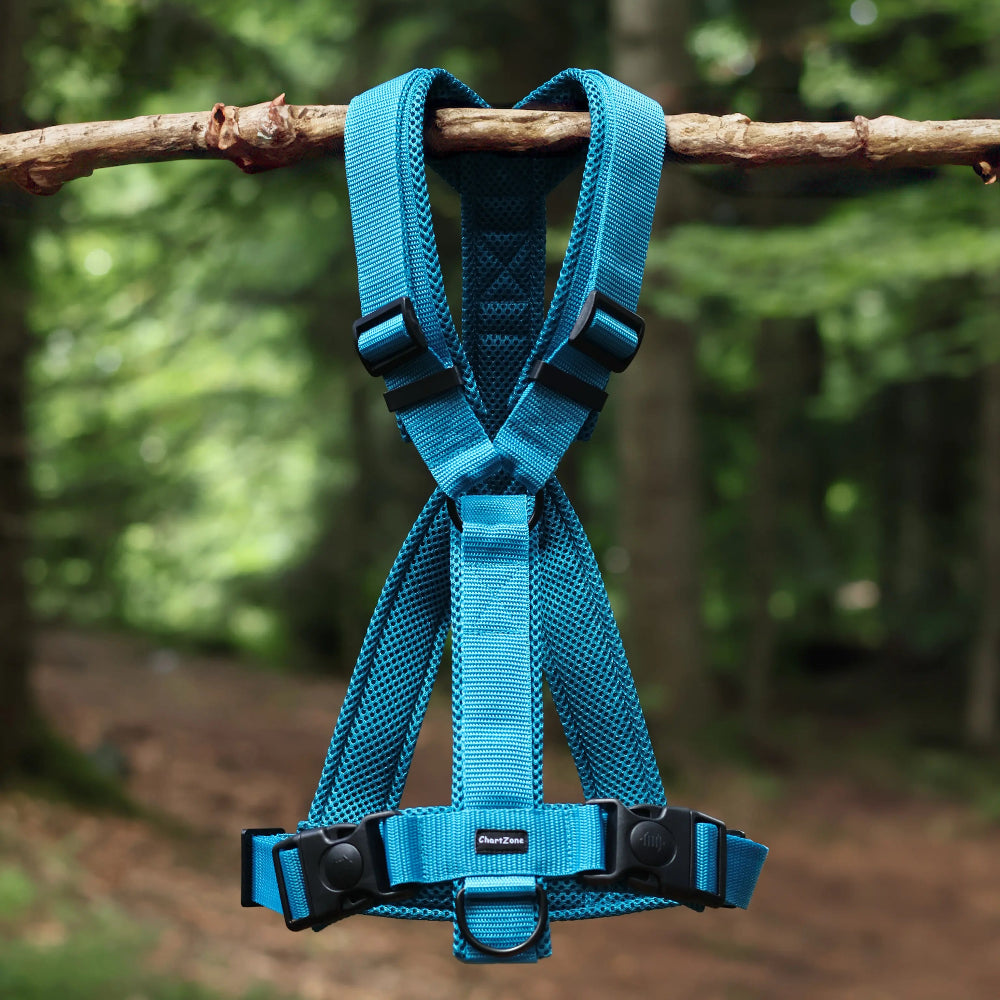 Szelki dla charta i psów o głębokiej klatce piersiowej w kształcie litery Y, anatomiczne, Comfort Mesh, podszycie z siatki dystansowej