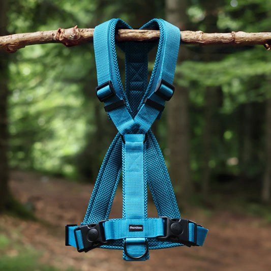 Szelki dla charta i psów o głębokiej klatce piersiowej w kształcie litery Y, anatomiczne, Comfort Mesh, podszycie z siatki dystansowej