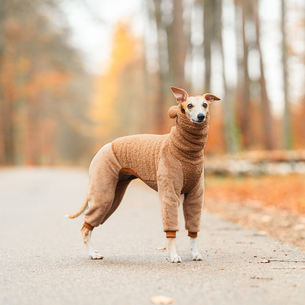 Ubranko dla whipetów uszyty z ciepłego dwuwarstwowego baranka. Whippet clothes.