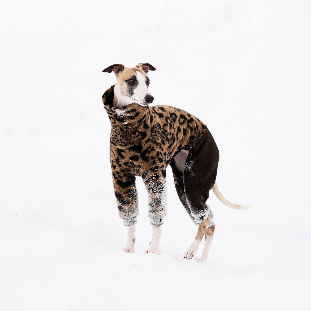Ciepły kombinezon dla charcika włoskiego uszyty z wełnianej dzianiny w panterkę. Wełna zapewnia naturalną ochronę przed chłodem i komfort noszenia.