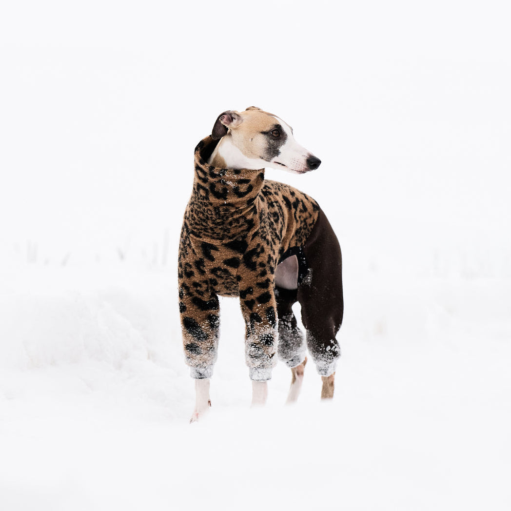 Ciepły kombinezon dla charcika włoskiego uszyty z wełnianej dzianiny w panterkę. Wełna zapewnia naturalną ochronę przed chłodem i komfort noszenia.