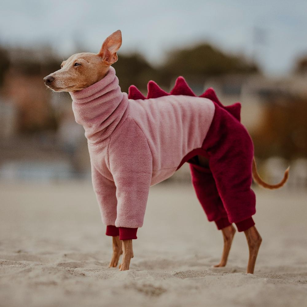 ubranko dla charcika włoskiego / italian greyhound clothes