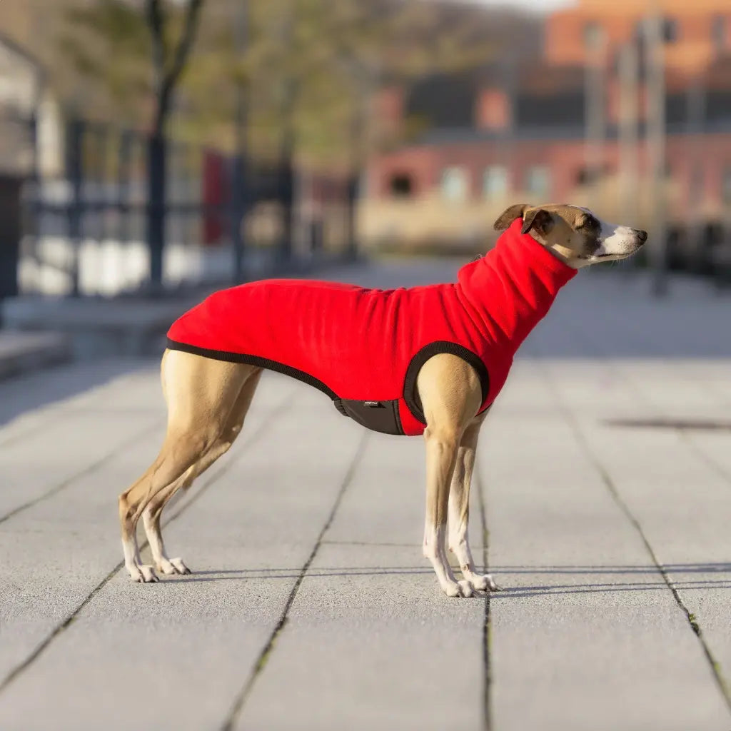 Bezrękawnik dla charta angielskiego z grubego polaru, z wodoodpornymi wstawkami na brzuchu i otworem na smycz w kołnierzu; zapewnia izolację termiczną, ochronę przed wilgocią i swobodę ruchów podczas spacerów.