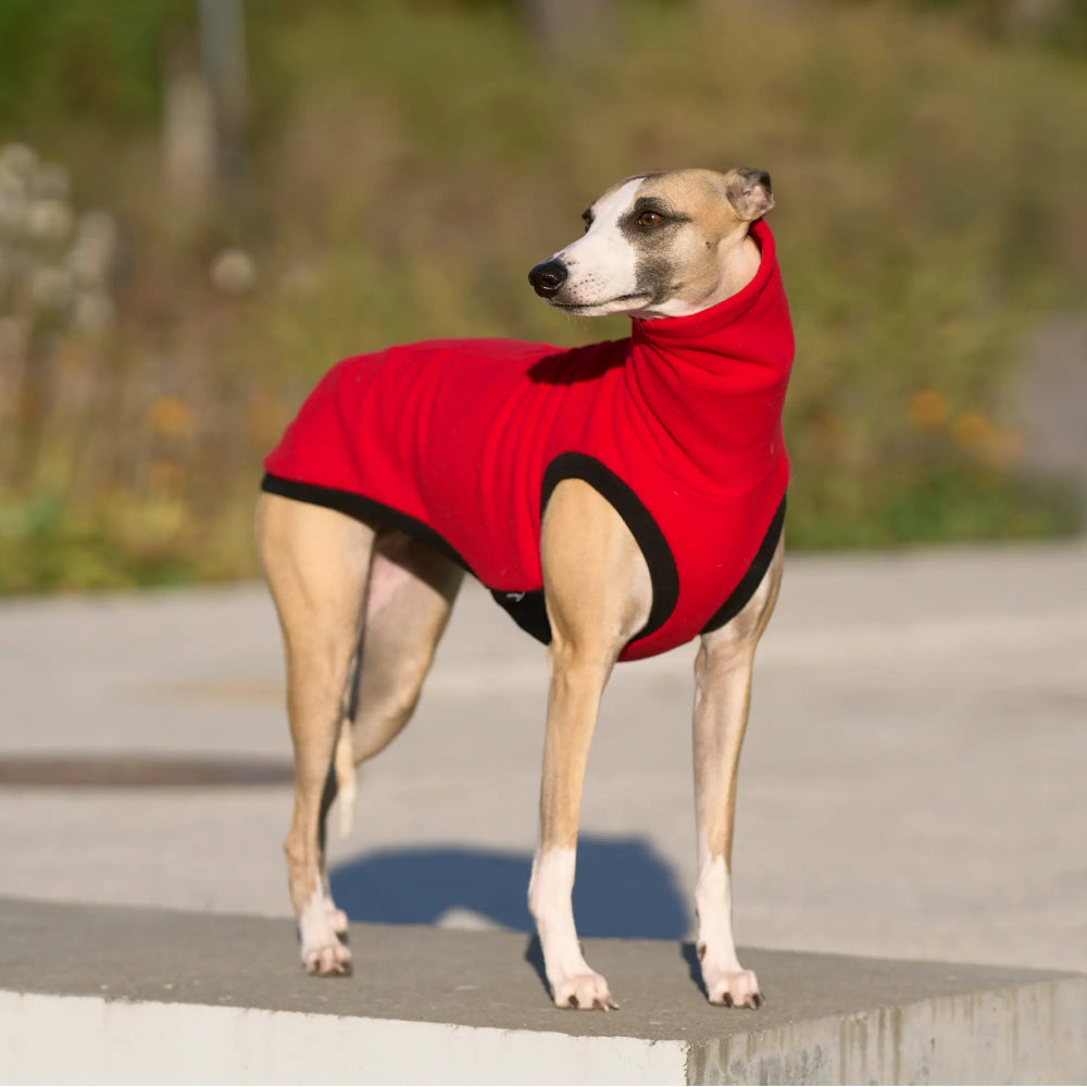 Bezrękawnik dla charta angielskiego z grubego polaru, z wodoodpornymi wstawkami na brzuchu i otworem na smycz w kołnierzu; zapewnia izolację termiczną, ochronę przed wilgocią i swobodę ruchów podczas spacerów.