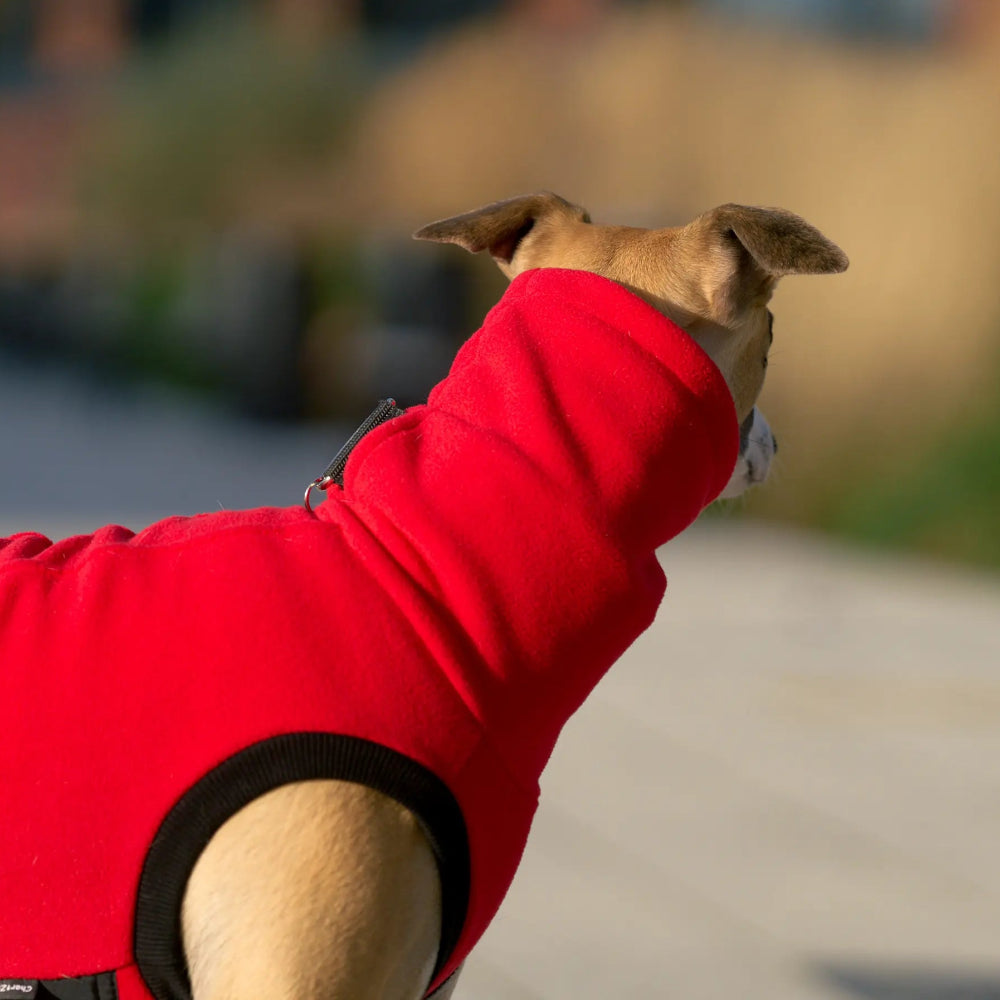 Bezrękawnik dla charta angielskiego z grubego polaru, z wodoodpornymi wstawkami na brzuchu i otworem na smycz w kołnierzu; zapewnia izolację termiczną, ochronę przed wilgocią i swobodę ruchów podczas spacerów.