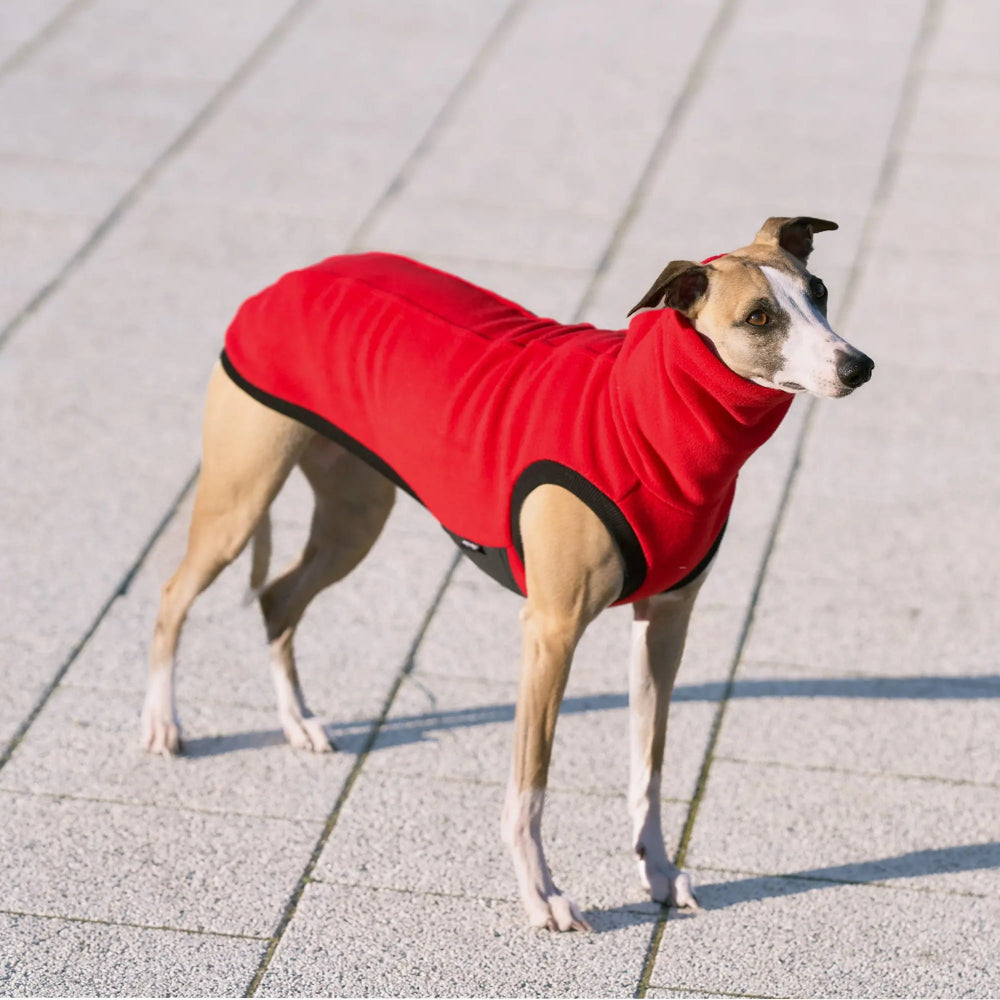 Bezrękawnik dla charta angielskiego z grubego polaru, z wodoodpornymi wstawkami na brzuchu i otworem na smycz w kołnierzu; zapewnia izolację termiczną, ochronę przed wilgocią i swobodę ruchów podczas spacerów.